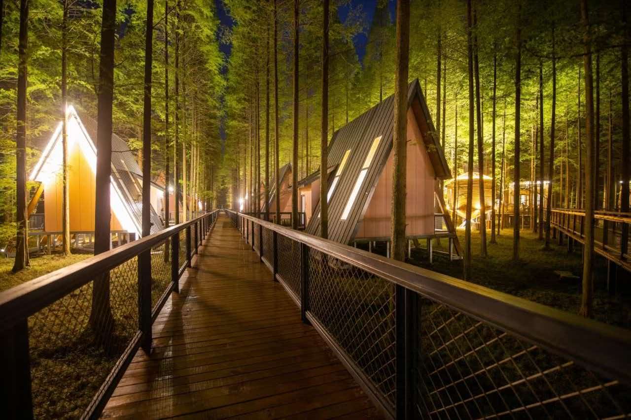 森林小木屋夜间氛围缩略图
